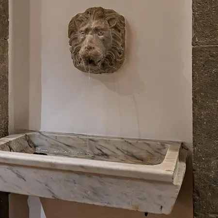 Domus Campo De Fiori *